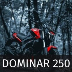 Dominar 250